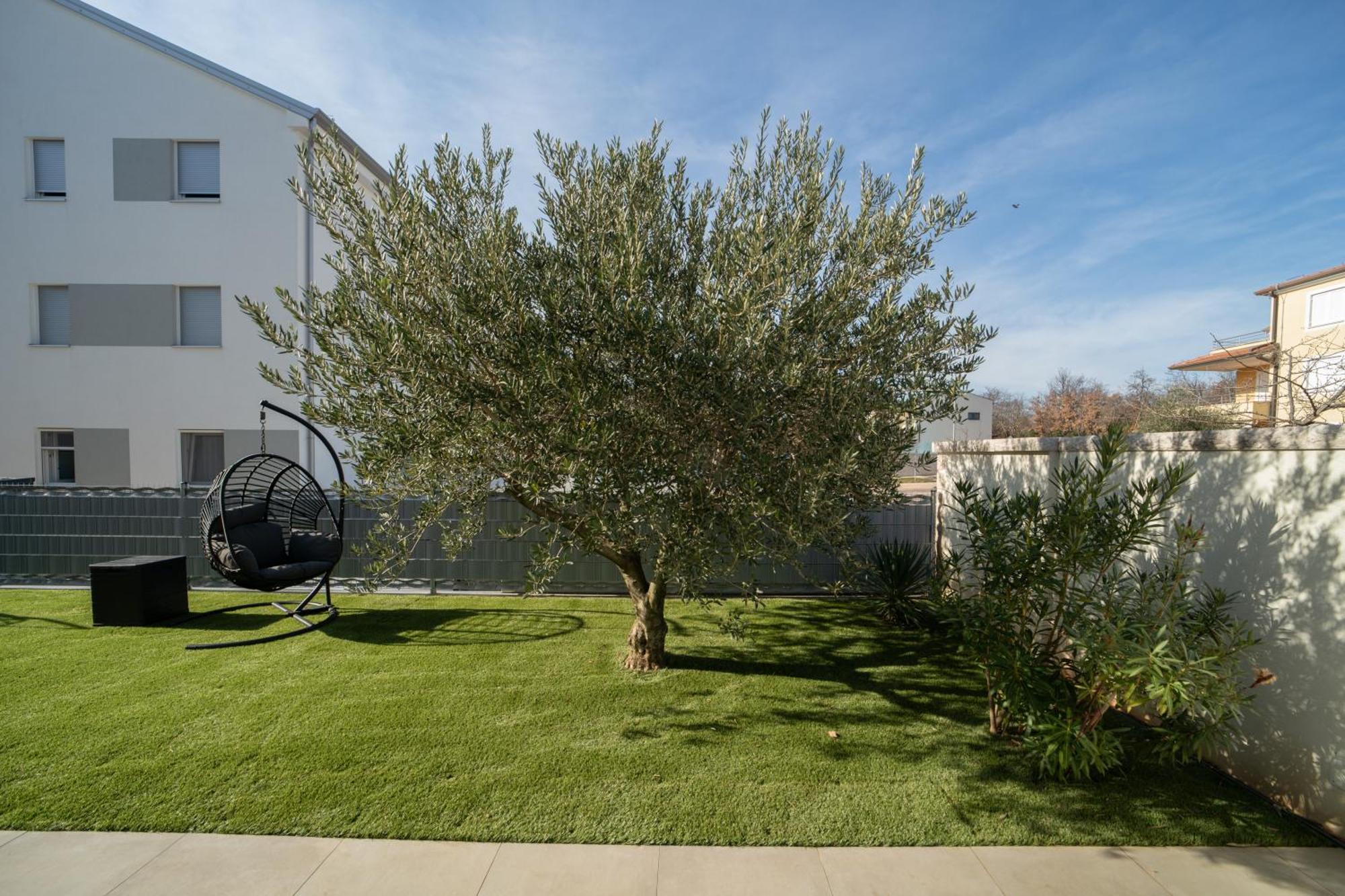 A&V Residence Novigrad Istria Quarto foto